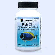 Load image into Gallery viewer, Fish Cin - Clindamycin 150 mg Capsules