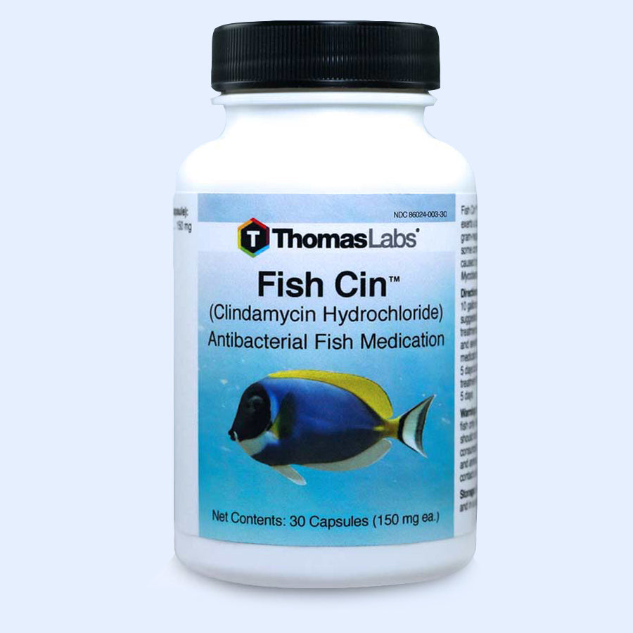 Fish Cin - Clindamycin 150 mg Capsules