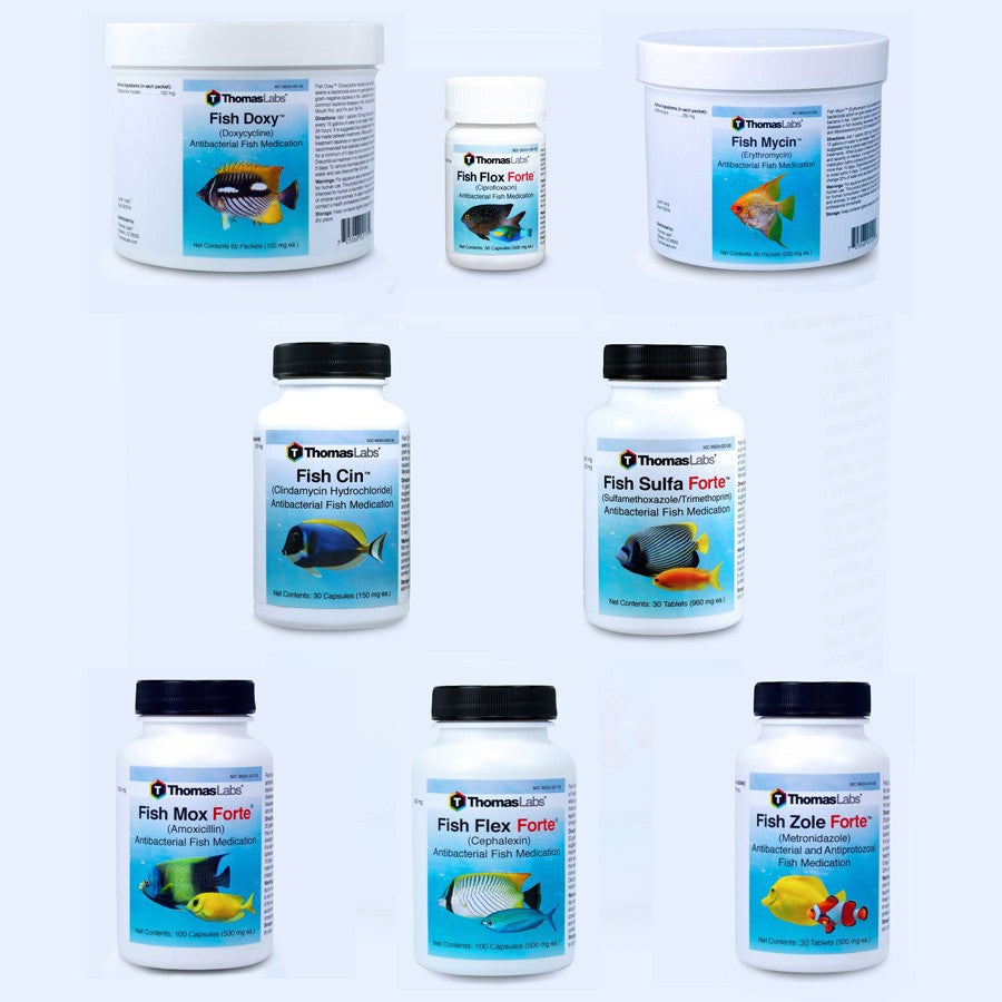 Fish Antibiotics Variety Package - 8 Count