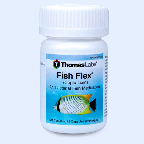 Fish Flex - Cephalexin/Keflex 250 mg Capsules