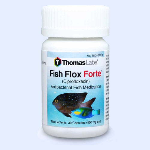 Fish Flox Forte - Ciprofloxacin 500 mg Tablets