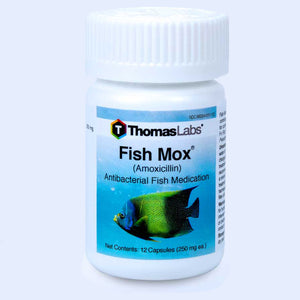 Fish Mox - Amoxicillin 250 mg Capsules