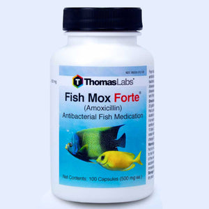 Fish Mox Forte - Amoxicillin 500 mg Capsules