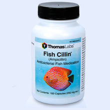 Load image into Gallery viewer, Fish Cillin - Ampicillin 250 mg Capsules - Limited Quantities