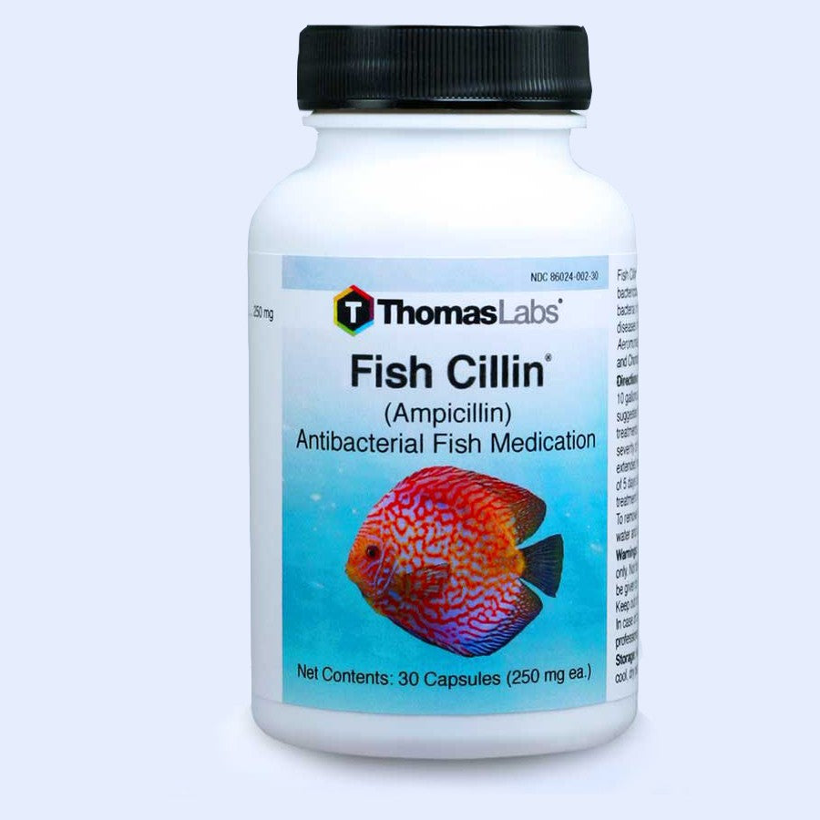 Fish Cillin - Ampicillin 250 mg Capsules - Limited Quantities