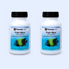 Load image into Gallery viewer, Fish Mox - Amoxicillin 250 mg Capsules