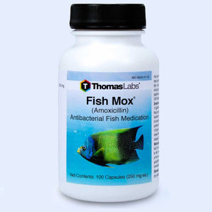 Fish Mox - Amoxicillin 250 mg Capsules