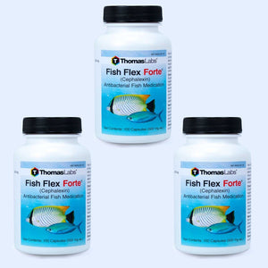 Fish Flex Forte - Cephalexin/Keflex 500 mg Capsules